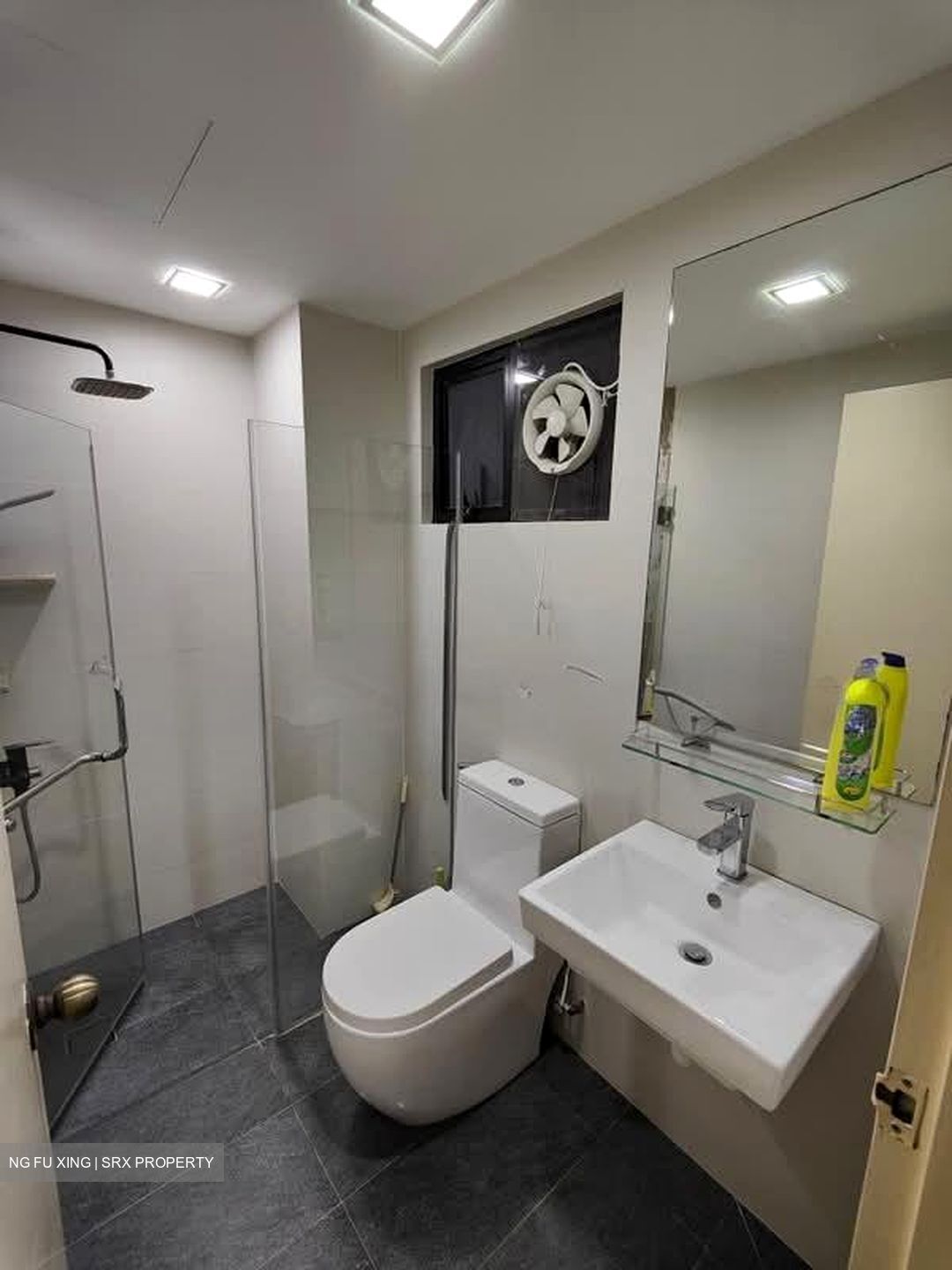 Nouvelle Park (D19), Condominium #589281221